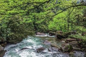 2023千岛湖森林氧吧门票多少钱