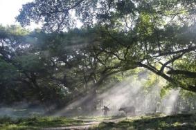 杨家溪旅游景点介绍