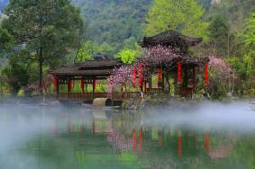 2023酉阳桃花源几月份去最好 附最佳游玩时间