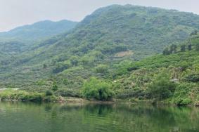 杨家溪景区简介概况