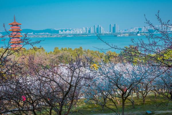 缓州秋季那里好玩 九大年夜秋季赏花景面