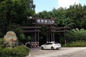 长隆野生动物园自驾车门票多少钱?怎么买?