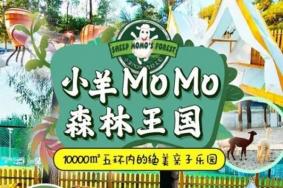 2023北京小羊MoMo森林王国亲子乐园游玩攻略 - 门票价格 - 优惠政策 - 地址 - 交通 - 天气