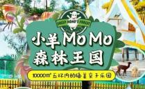 2023СMoMoɭ԰湥 - Ʊ۸ - Ż - ַ - ͨ - 