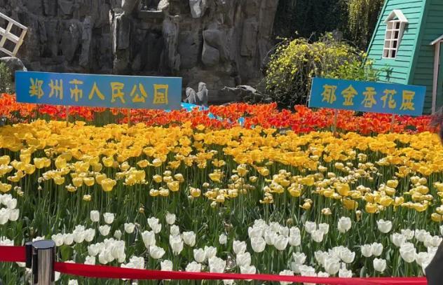 2023郑州人民公园郁金香花展时间