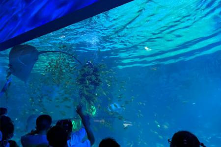 常州海昌海洋探索馆游玩攻略-门票价格-景点信息
