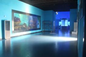 2023徐州水族馆表演时间