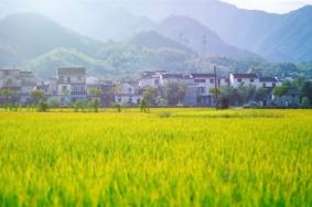 龙川景区游玩需要多长时间