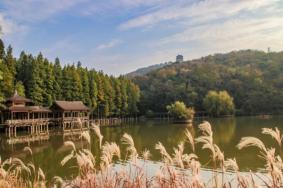 柳州五一去哪里玩 十大必玩的旅游景点