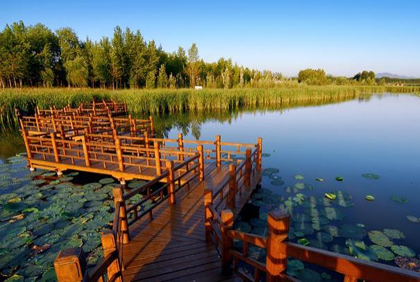 北京小众湿地公园有哪些地方