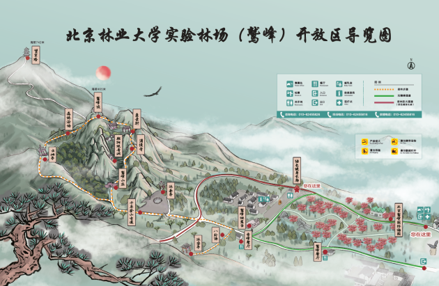 2024北京鹫峰国家森林公园旅游攻略-门票价格-景点信息