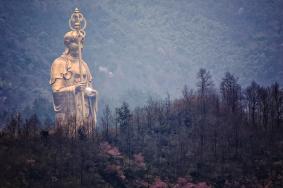 九华山二日游最佳线路