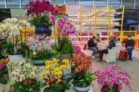 2023中国国际花卉园艺展览会时间+地点