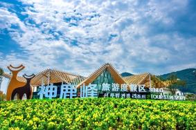 神鹿峰门票多少钱一张2023