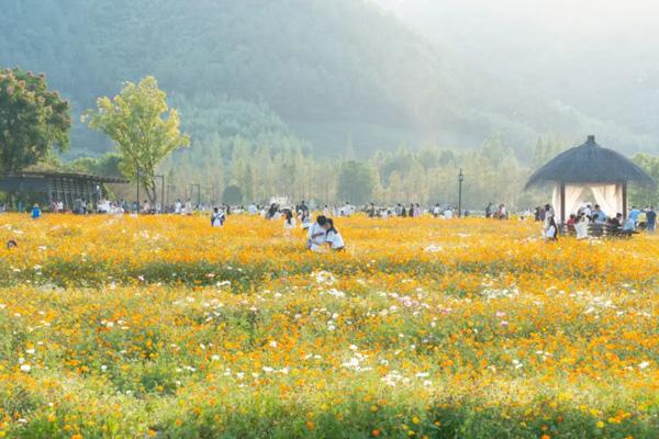 杭州五月份去哪玩比較好 15個最佳旅游景點推薦