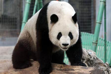 2023北京动物园门票多少钱一张 附优惠政策