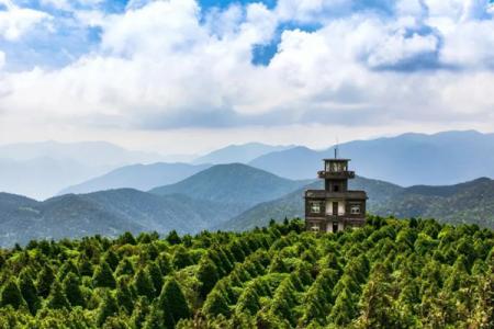百山祖景区游玩攻略-门票价格-景点信息