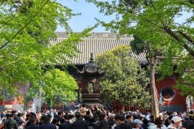 洛阳白马寺门票网上订票2024