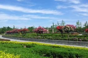 2023郑州植物园门票多少钱