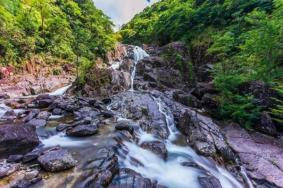 百山祖景区游玩攻略 一日游攻略