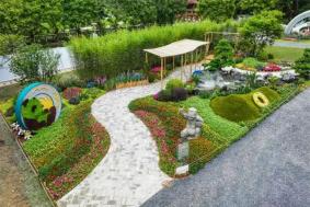 2023粤港澳大湾区花展要门票吗