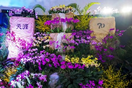 天行森林公园游玩攻略-门票价格-景点信息