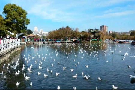 中国旅游十大城市2023排名 中国十大旅游城市最新排名