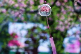 2023年木兰天池风铃节什么开始