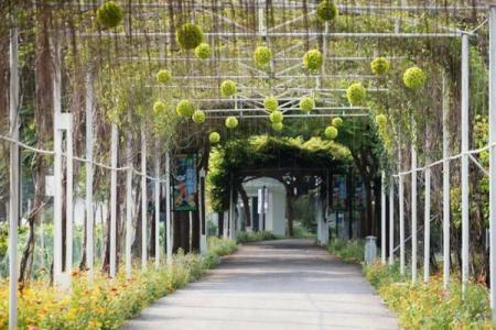 花都宝桑园旅游攻略-门票价格-景点信息