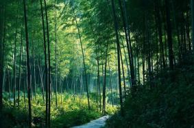 白水涧风景区在哪里 怎么去