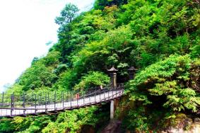 明月山门票老人多少岁免票
