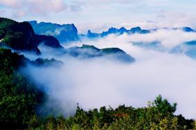 景星岩海拔多少米