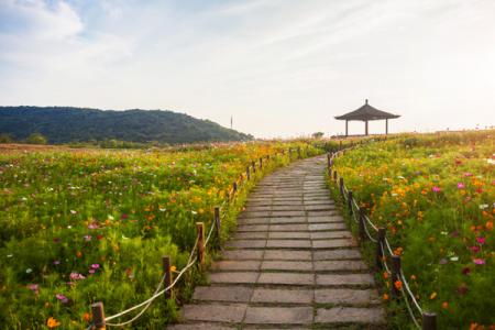 龙头渚风景区游玩攻略-门票价格-景点信息