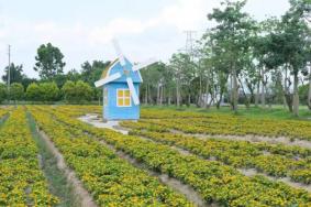 2023花都宝桑园门票多少钱 附优惠政策