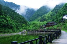 2023桐庐天子地景区门票多少钱 附优惠政策