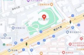 武汉环球大马戏嘉年华在哪里举办
