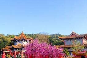 广东观音山国家森林公园有什么景点