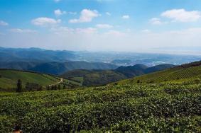 东钱湖福泉山景区能开车上山吗