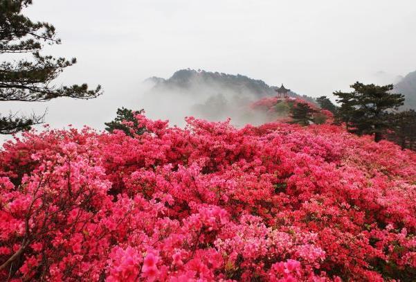 五一湖北省內旅游最佳去處