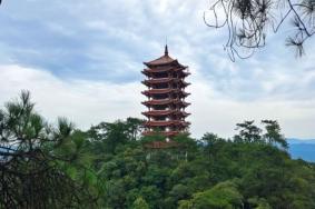缙云山在哪里 怎么走
