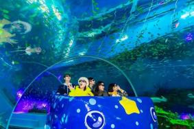 2024惠州海昌海洋探索乐园游玩攻略-门票价格-景点信息