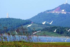 2024长兴仙山湖风景区门票优惠政策