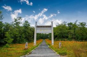 野河山景区在什么地方 怎么去