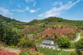 长兴城山沟景区几月份去好