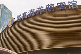 塔高海洋萌宠馆门票多少钱2024