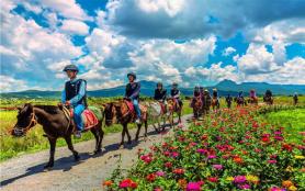 拉市海茶马古道旅游攻略-门票价格-景点信息