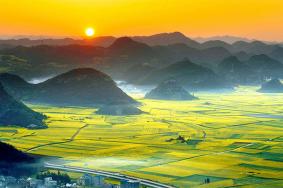 罗平油菜花几月份去最好2023
