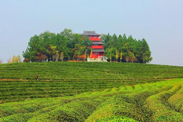 南昌有什么露营的好地方 南昌十大露营地点推荐