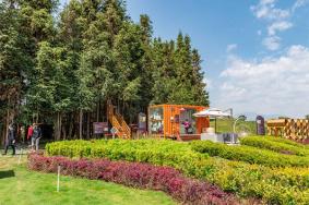 腾冲原乡栖花岭景区花开到什么时候