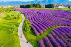 腾冲原乡栖花岭景区几月份最好玩